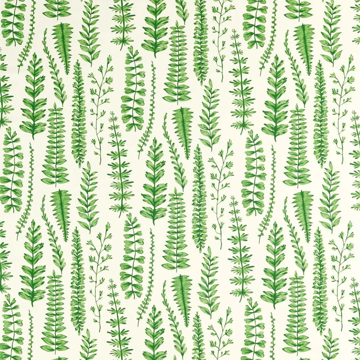 Ferns Fabric - Scion