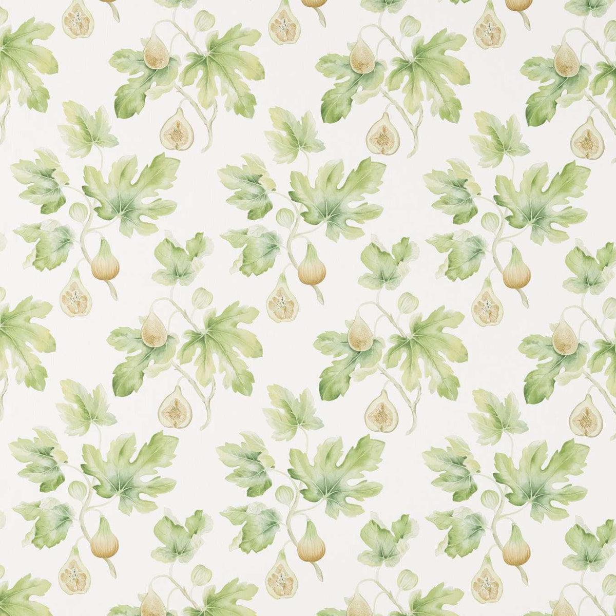 Sanderson Fig Harvest Fabric