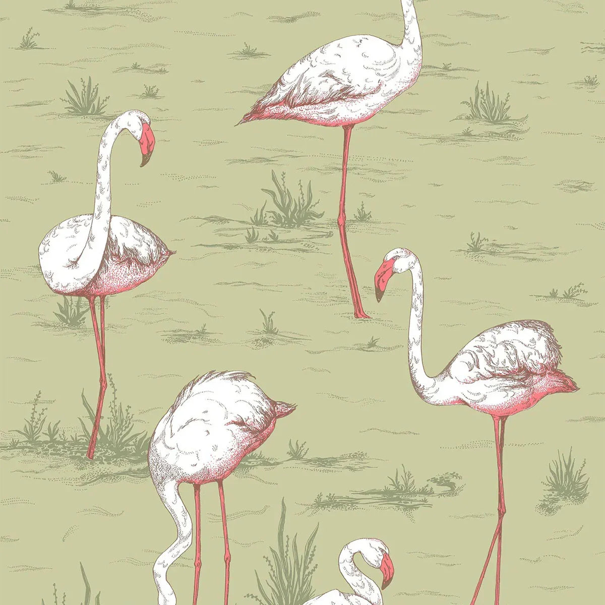 Flamingos Icons Wallpaper - Cole & Son