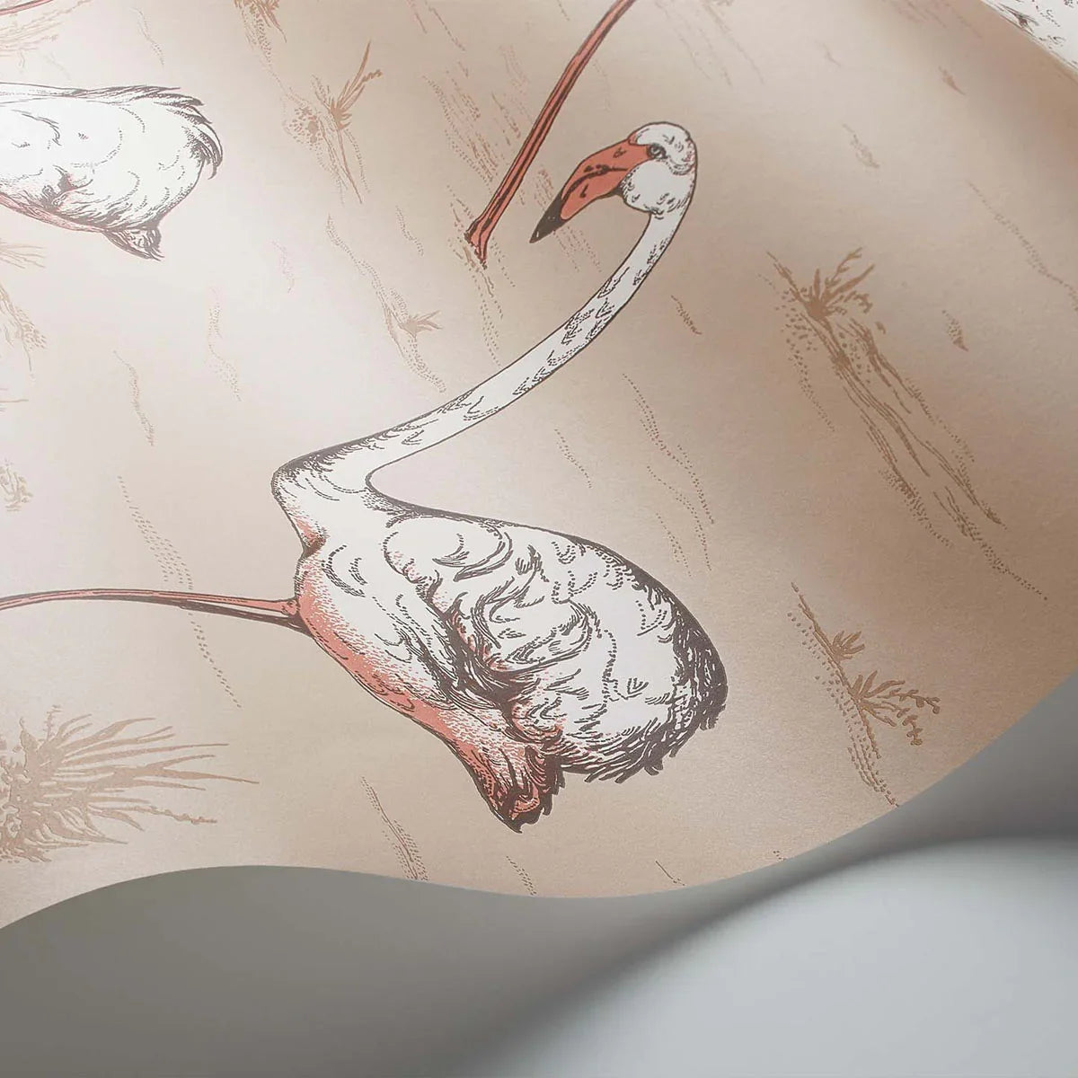 Flamingos Icons Wallpaper - Cole & Son