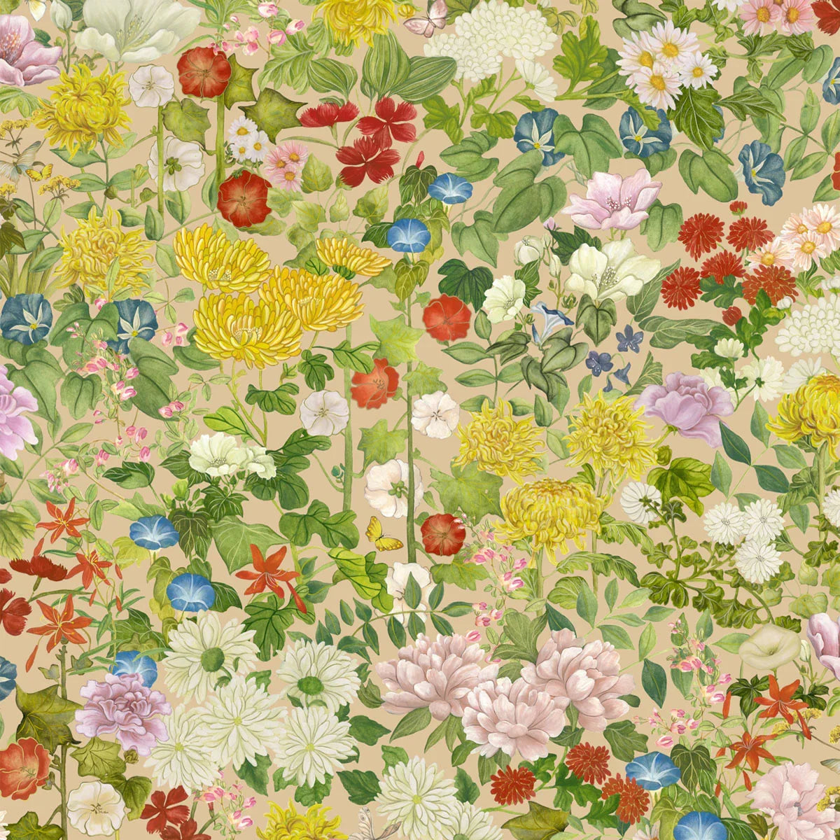 Flora Province Wallpaper - Cole & Son