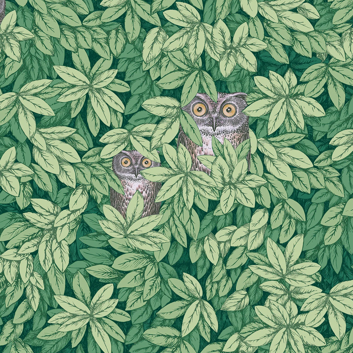 Flying Green Owl – Artfolio