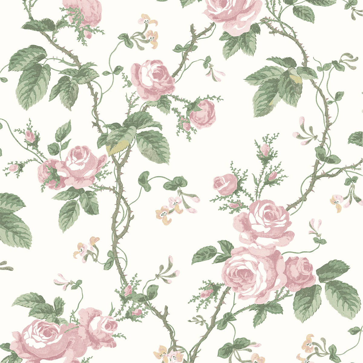 French Roses Wallpaper - Borastapeter