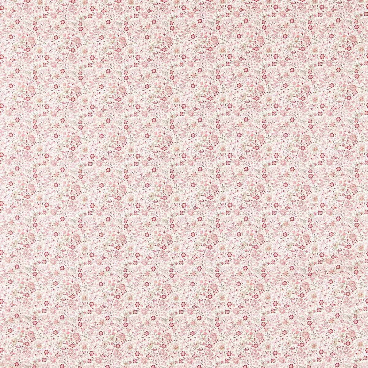 Gamthi Fabric - Clarke & Clarke