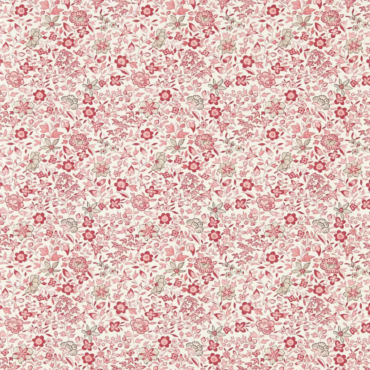 Gamthi Wallpaper - Clarke & Clarke