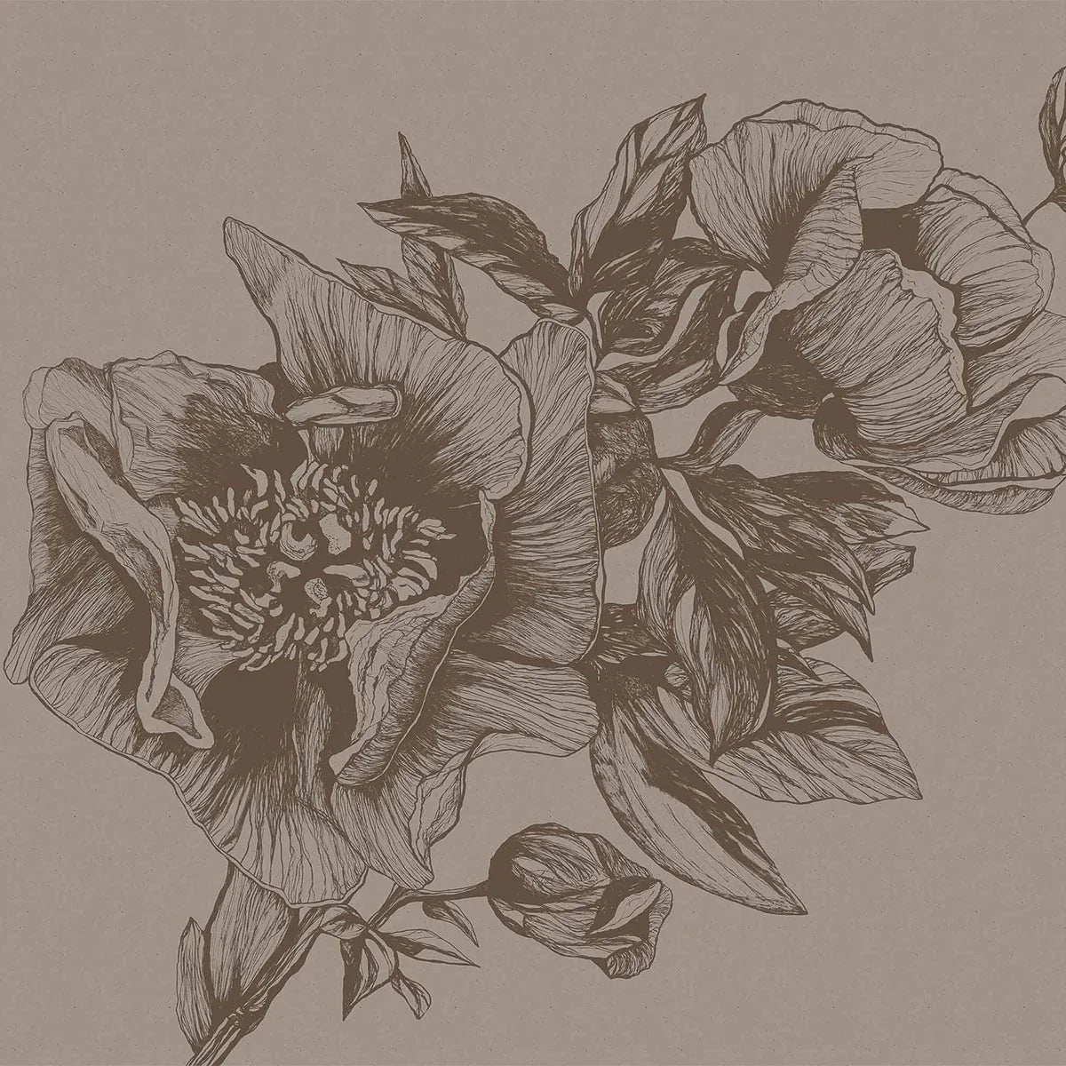 Giant Peonies Mural Wallpaper - Coordonne