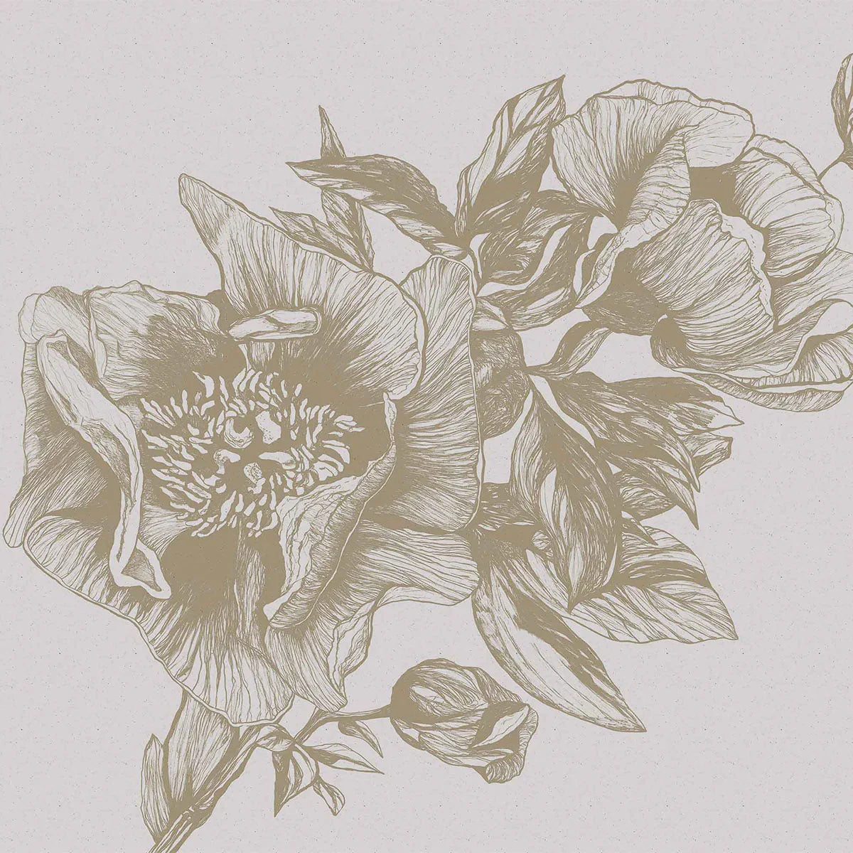 Giant Peonies Mural Wallpaper - Coordonne