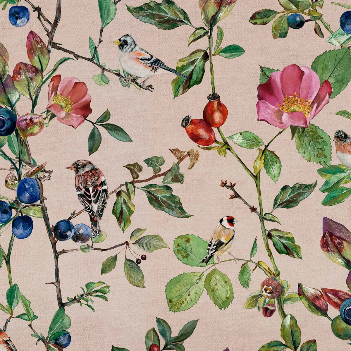 Goldfinch Song Wallpaper - Coordonne