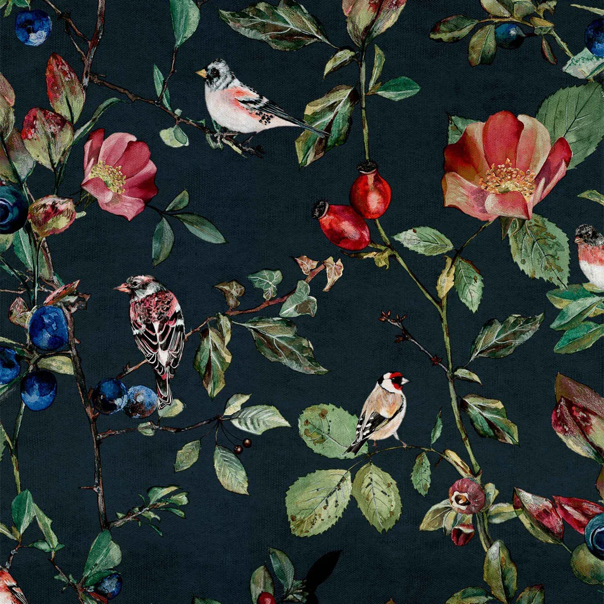 Goldfinch Song Wallpaper - Coordonne