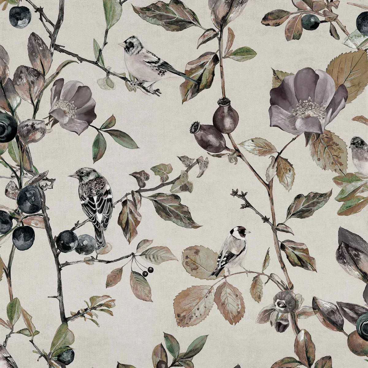 Goldfinch Song Wallpaper - Coordonne