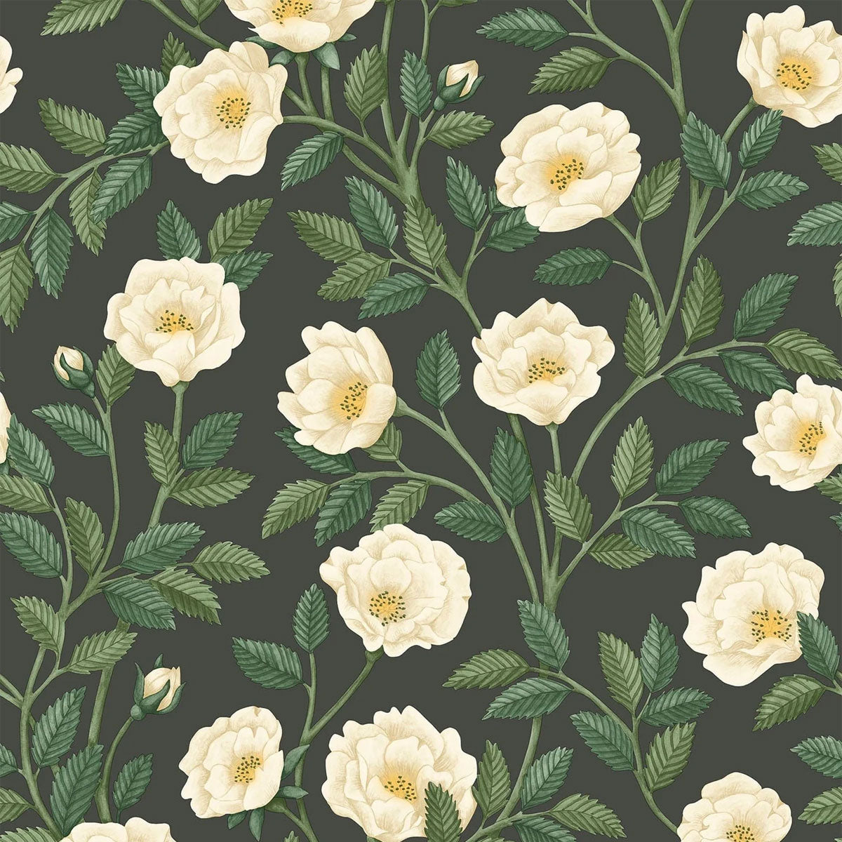 Hampton Roses Wallpaper - Cole & Son