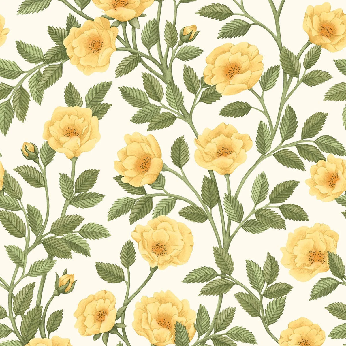 Hampton Roses Wallpaper - Cole & Son