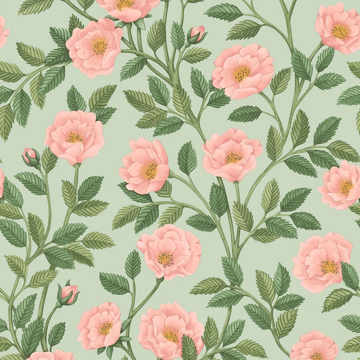 Hampton Roses Wallpaper - Cole & Son