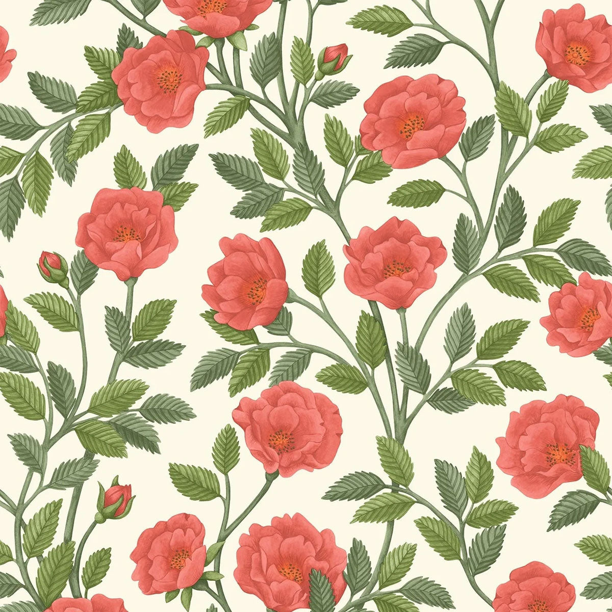 Hampton Roses Wallpaper - Cole & Son
