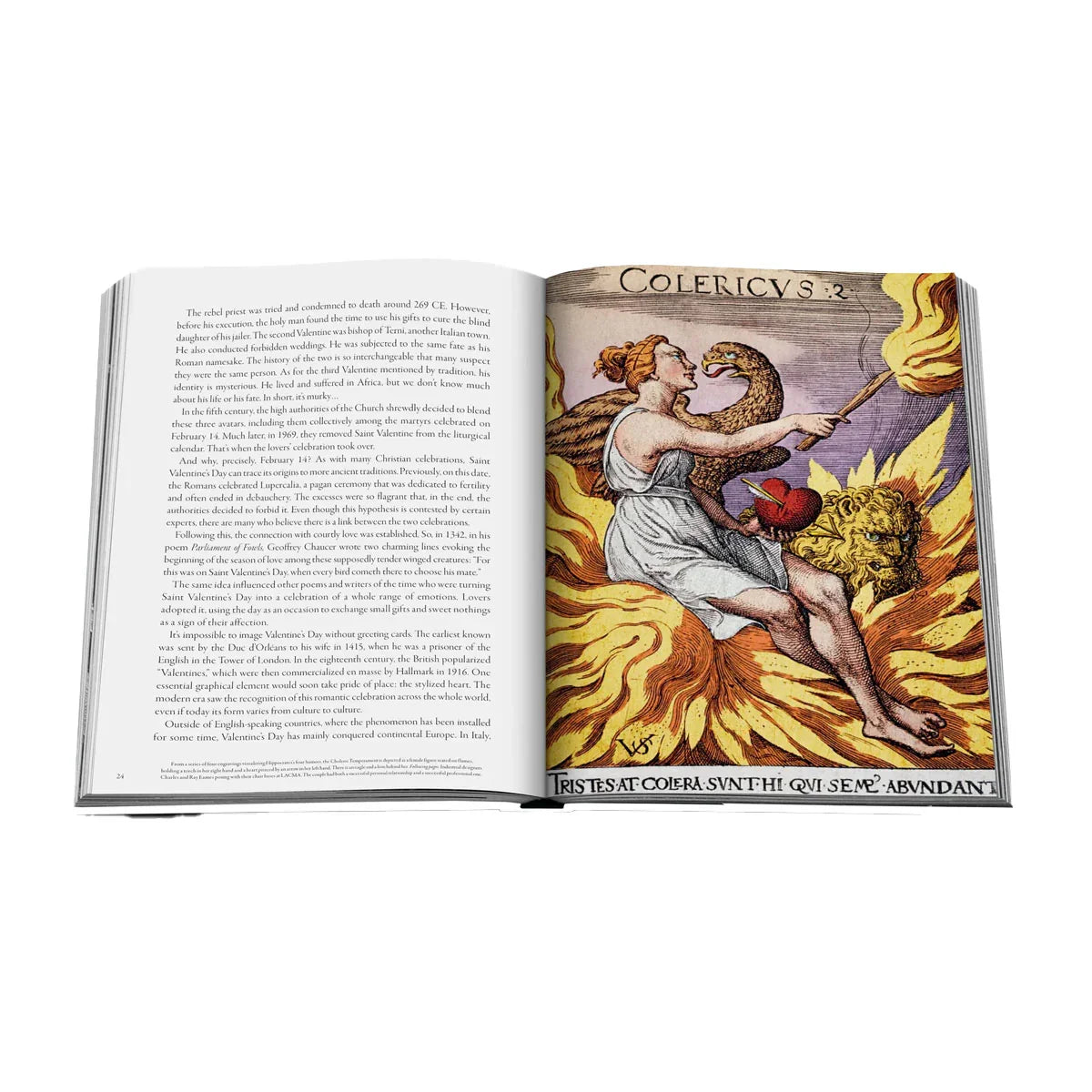 Heart & Love - Assouline