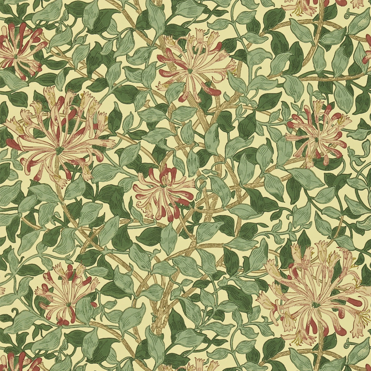 Morris &amp; Co &#39;Honeysuckle - Green/Coral/Pink&#39; Wallpaper
