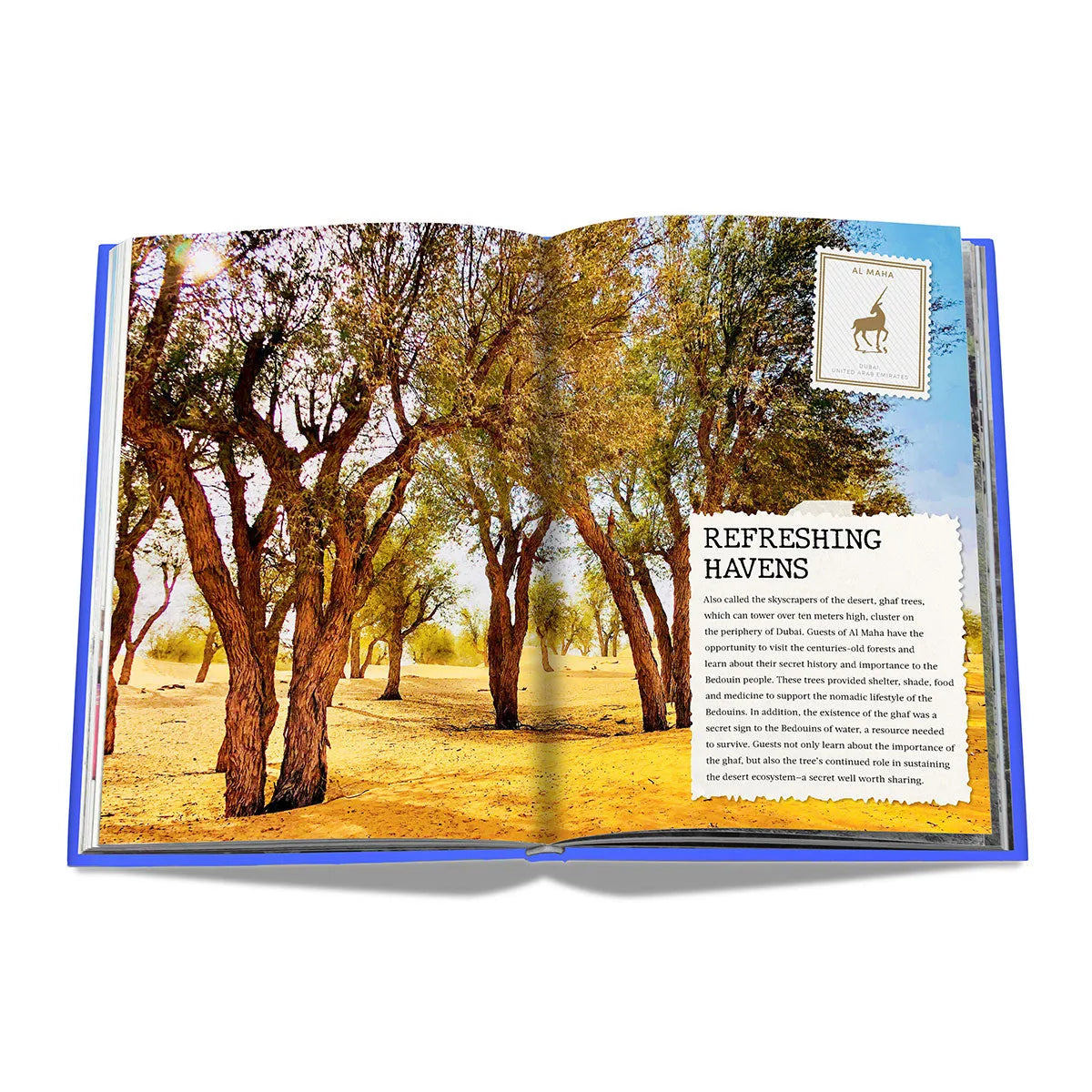 The Luxury Collection: Hotel Secrets - Assouline