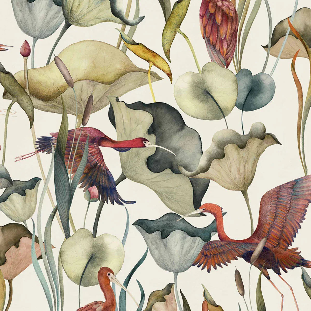 Humedales Wallpaper - Coordonne