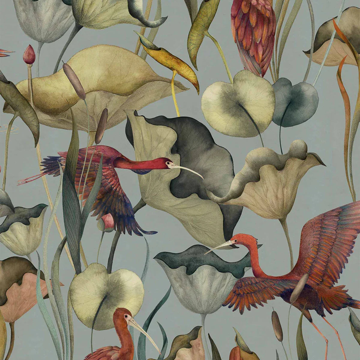 Humedales Wallpaper - Coordonne