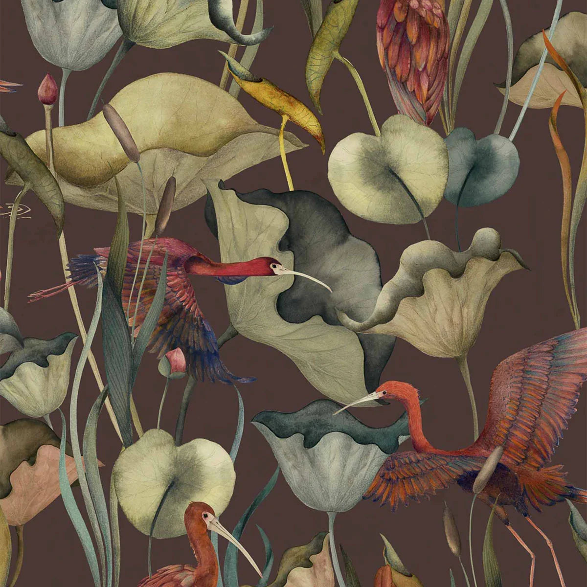 Humedales Wallpaper - Coordonne