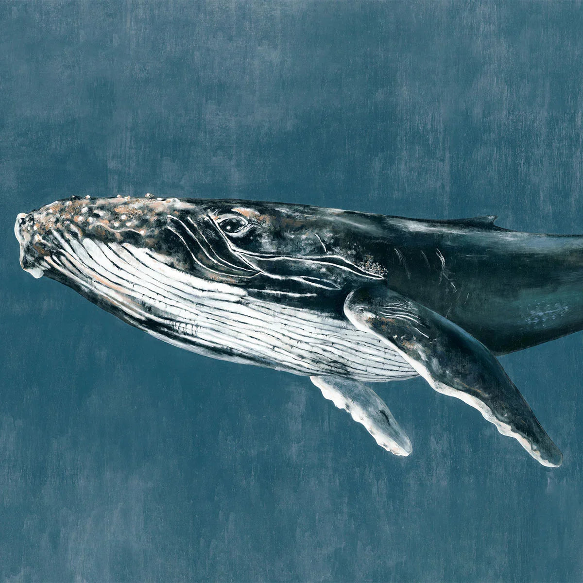 Humpback Whale Mural Wallpaper - Coordonne