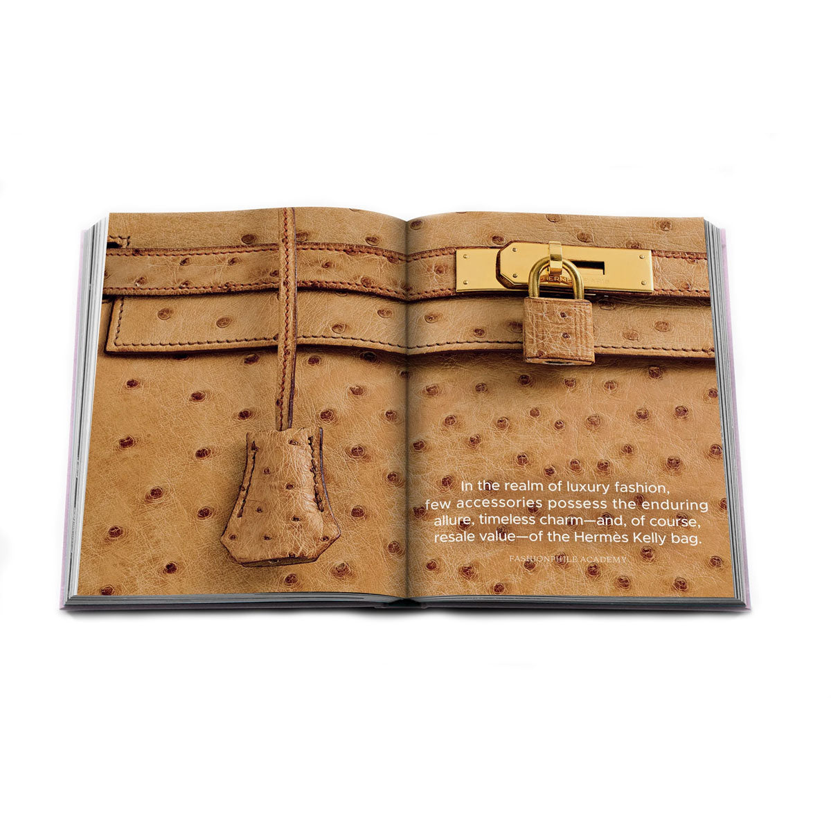 Fashionphile: The Book of Iconic Bags - Assouline
