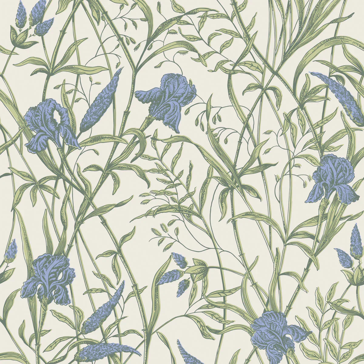 Iris Wallpaper - Cole & Son