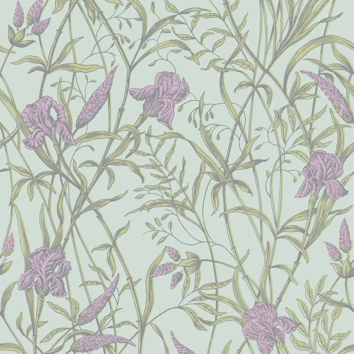 Iris Wallpaper - Cole & Son
