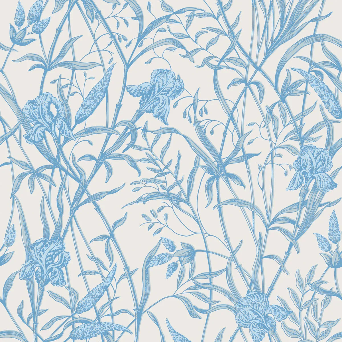 Iris Wallpaper - Cole & Son