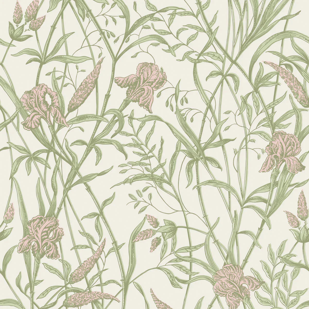 Iris Wallpaper - Cole & Son