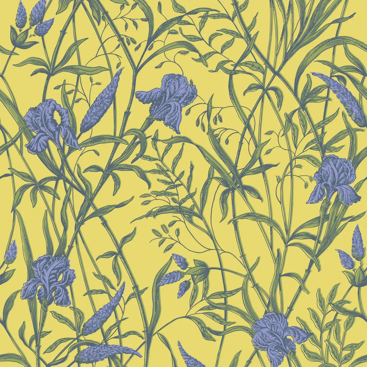 Iris Wallpaper - Cole & Son