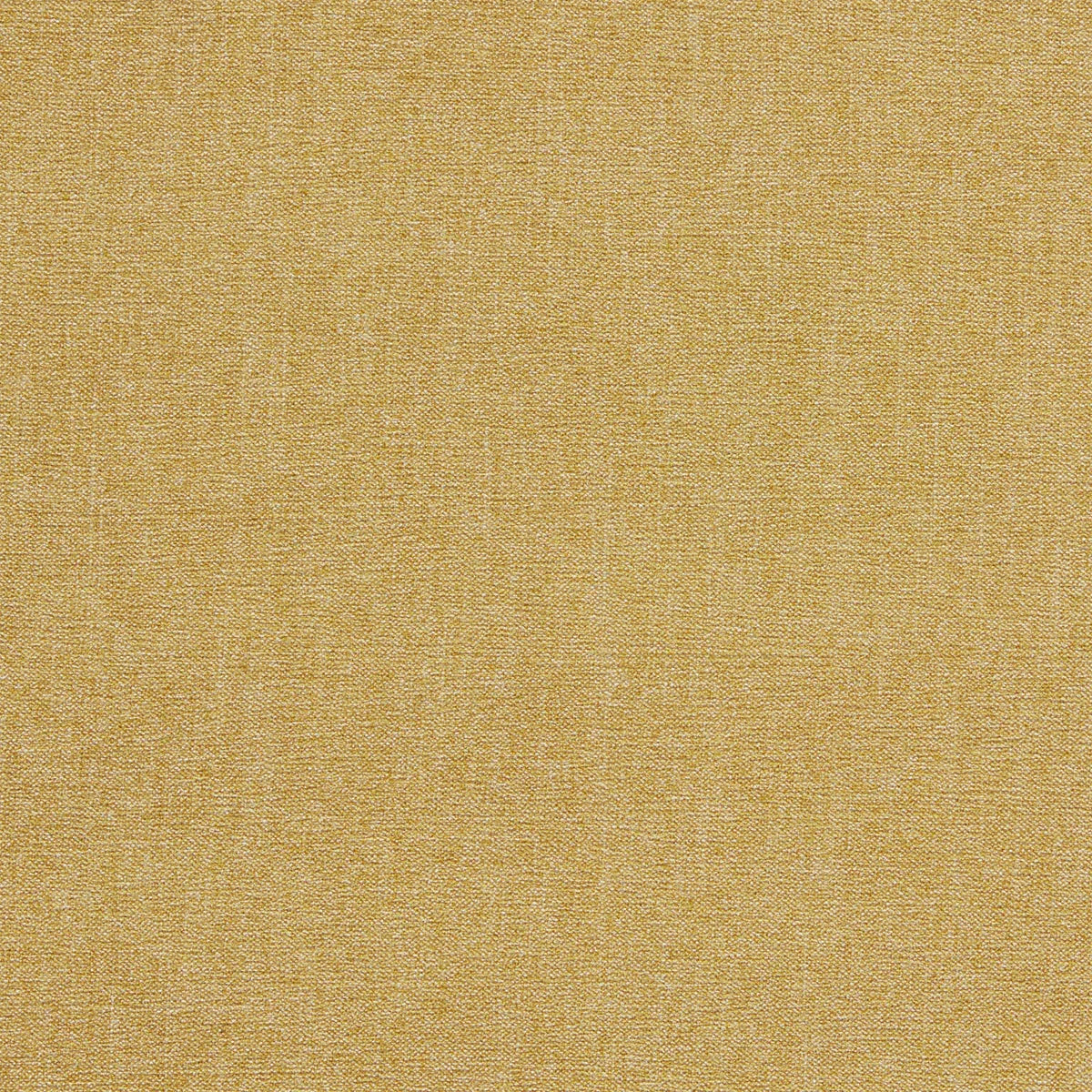 Jaipur Fabric - Clarke & Clarke