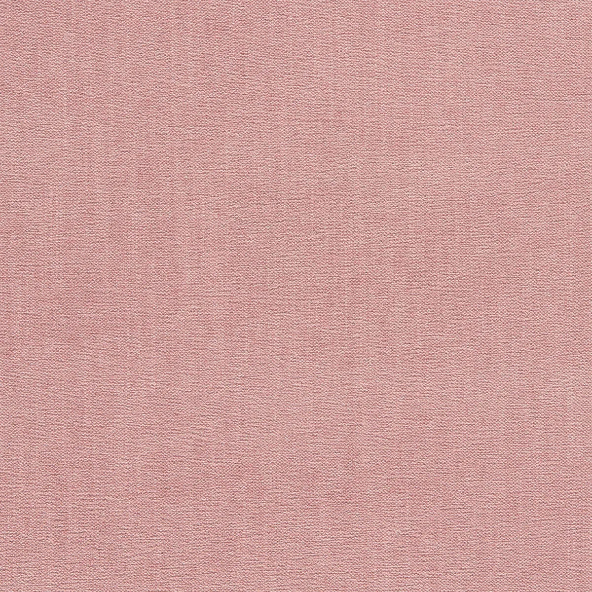 Jaipur Fabric - Clarke & Clarke