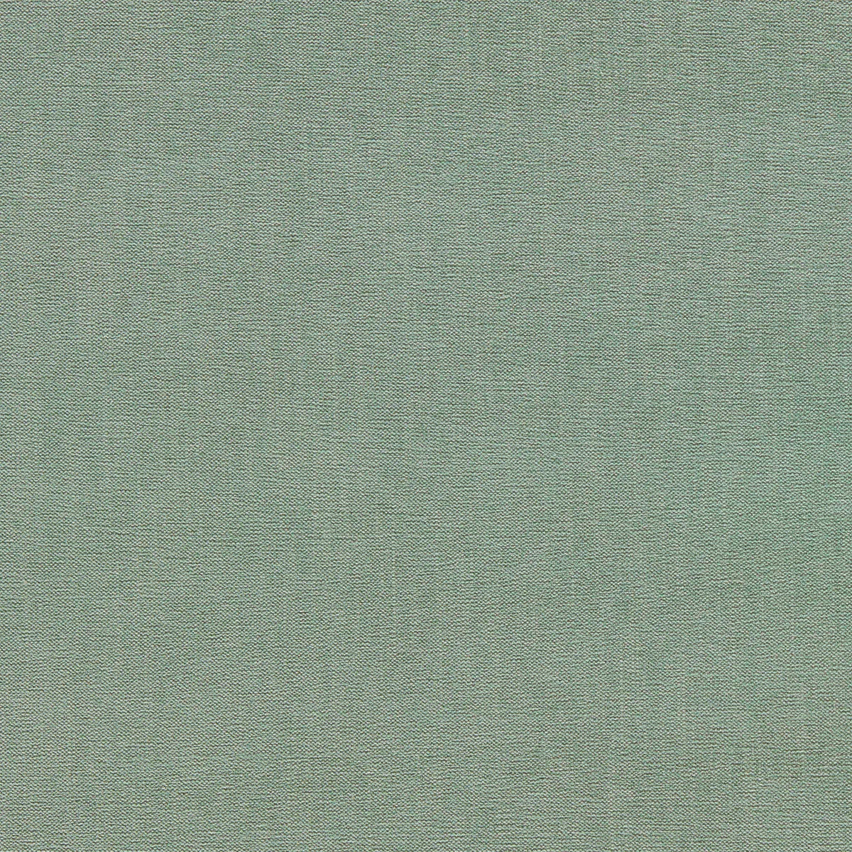 Jaipur Fabric - Clarke & Clarke