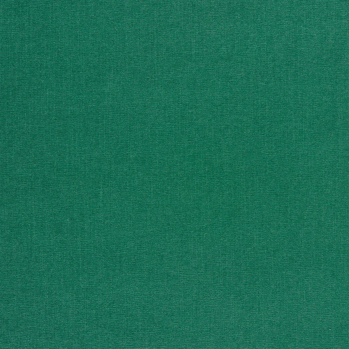 Jaipur Fabric - Clarke & Clarke