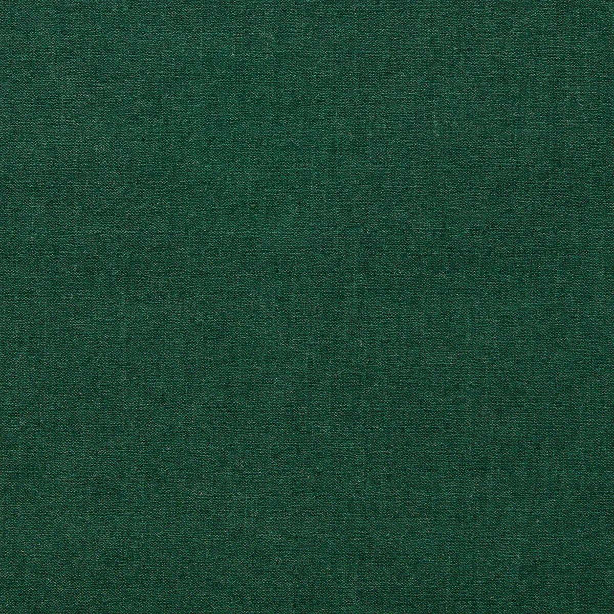 Jaipur Fabric - Clarke & Clarke