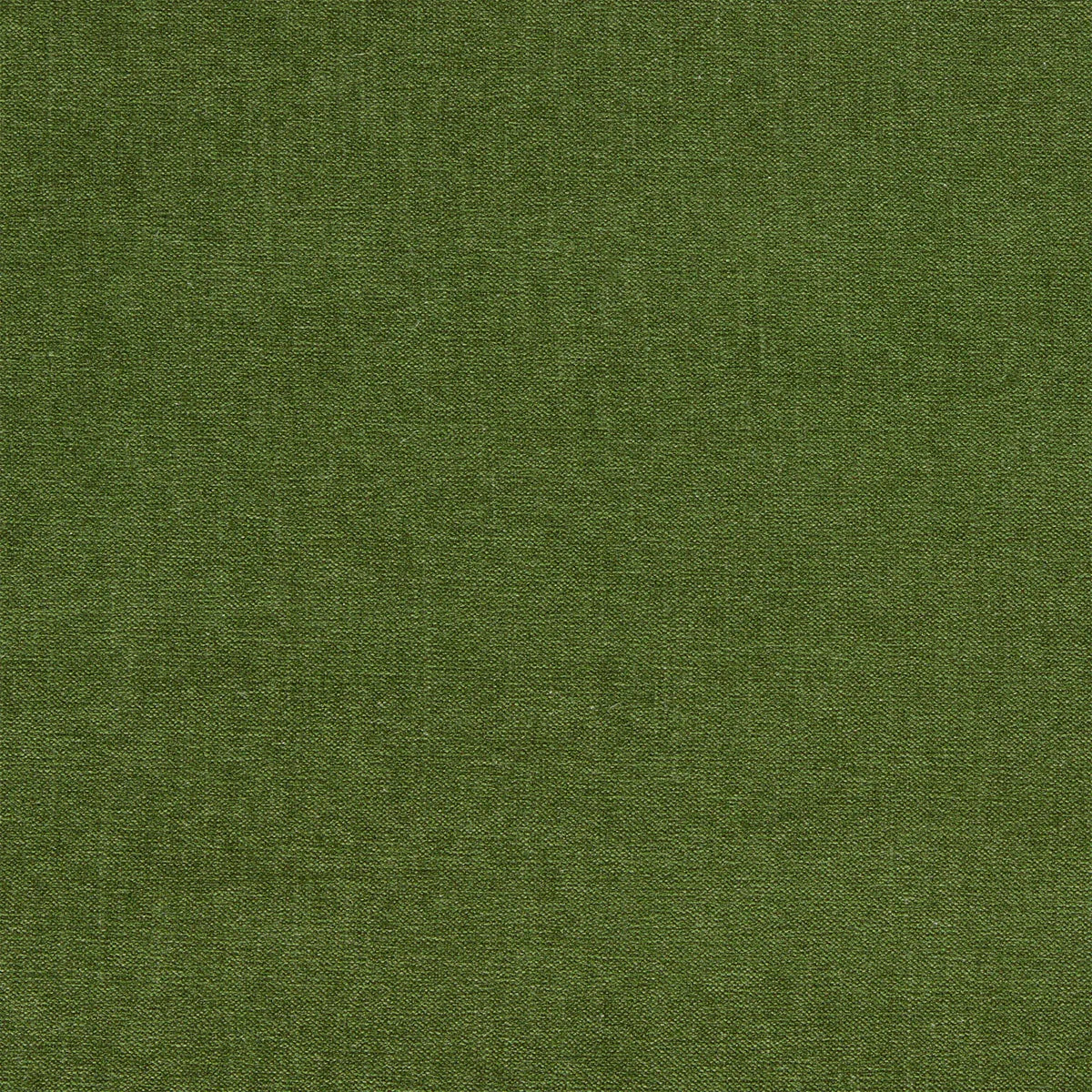 Jaipur Fabric - Clarke & Clarke