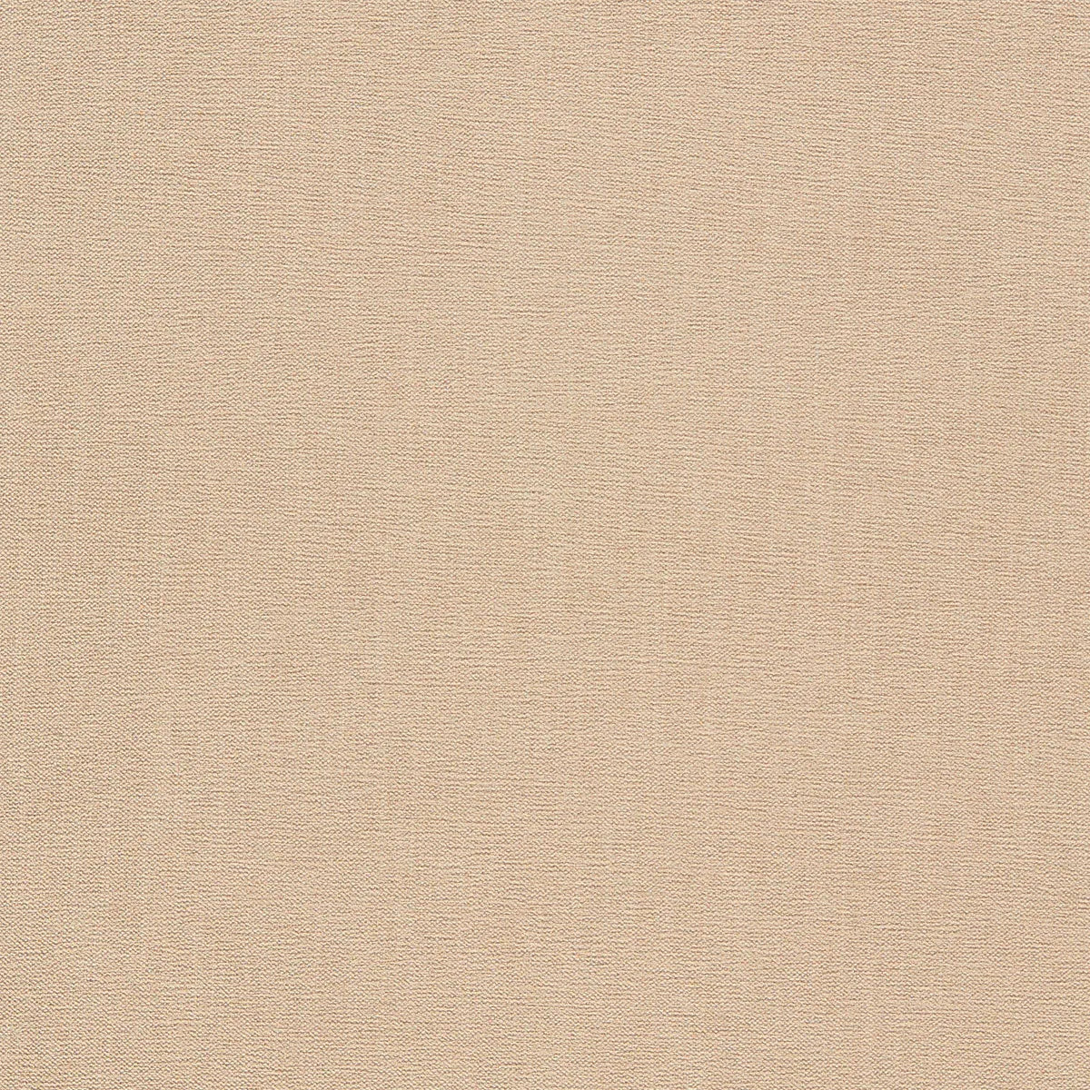 Jaipur Fabric - Clarke & Clarke