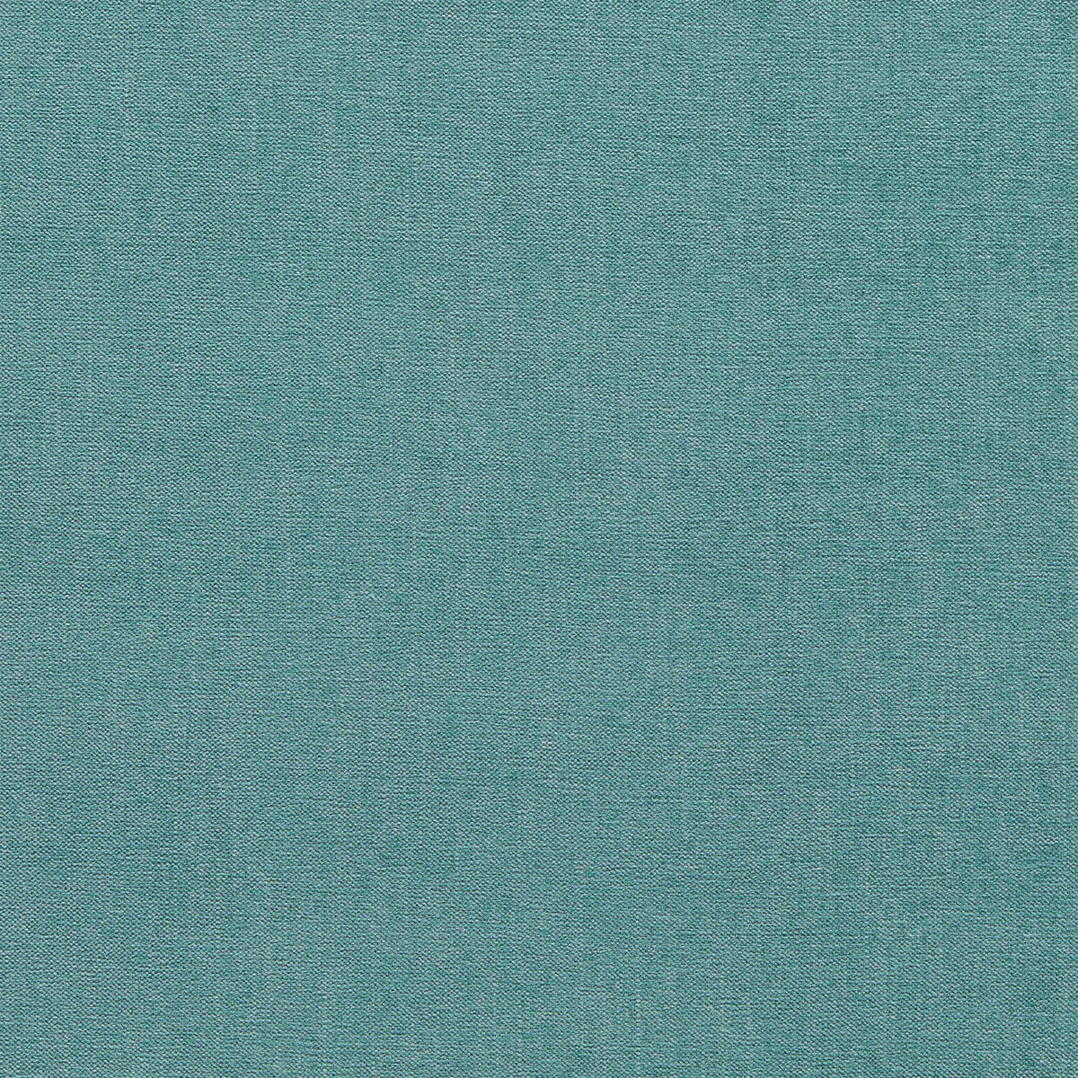 Jaipur Fabric - Clarke & Clarke