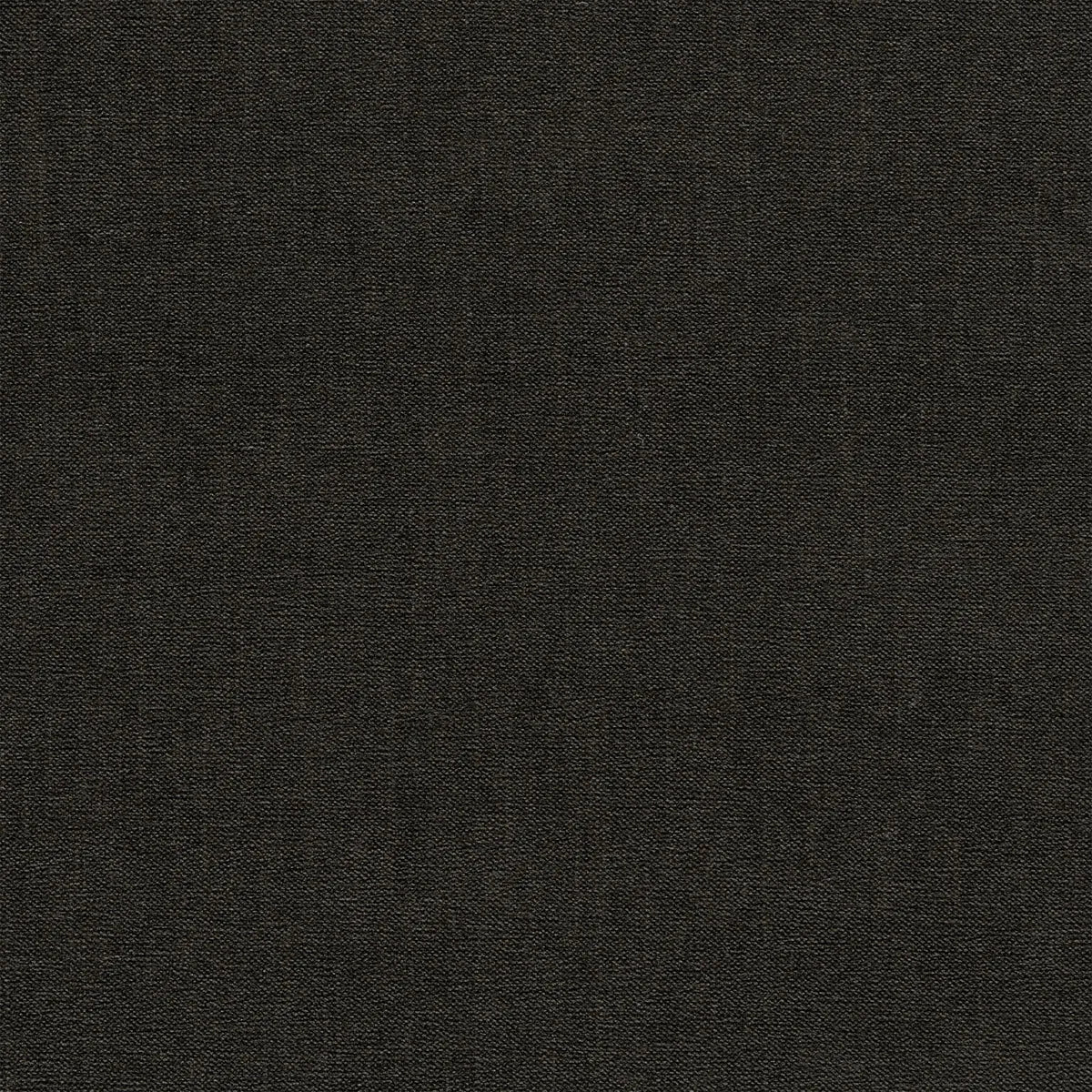 Jaipur Fabric - Clarke & Clarke
