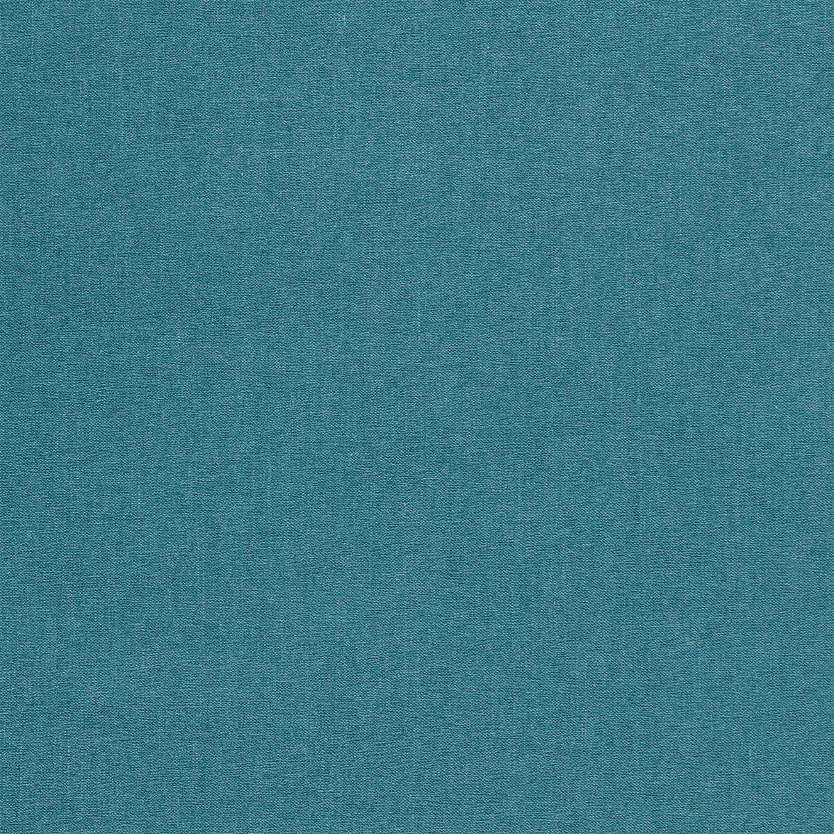 Jaipur Fabric - Clarke & Clarke