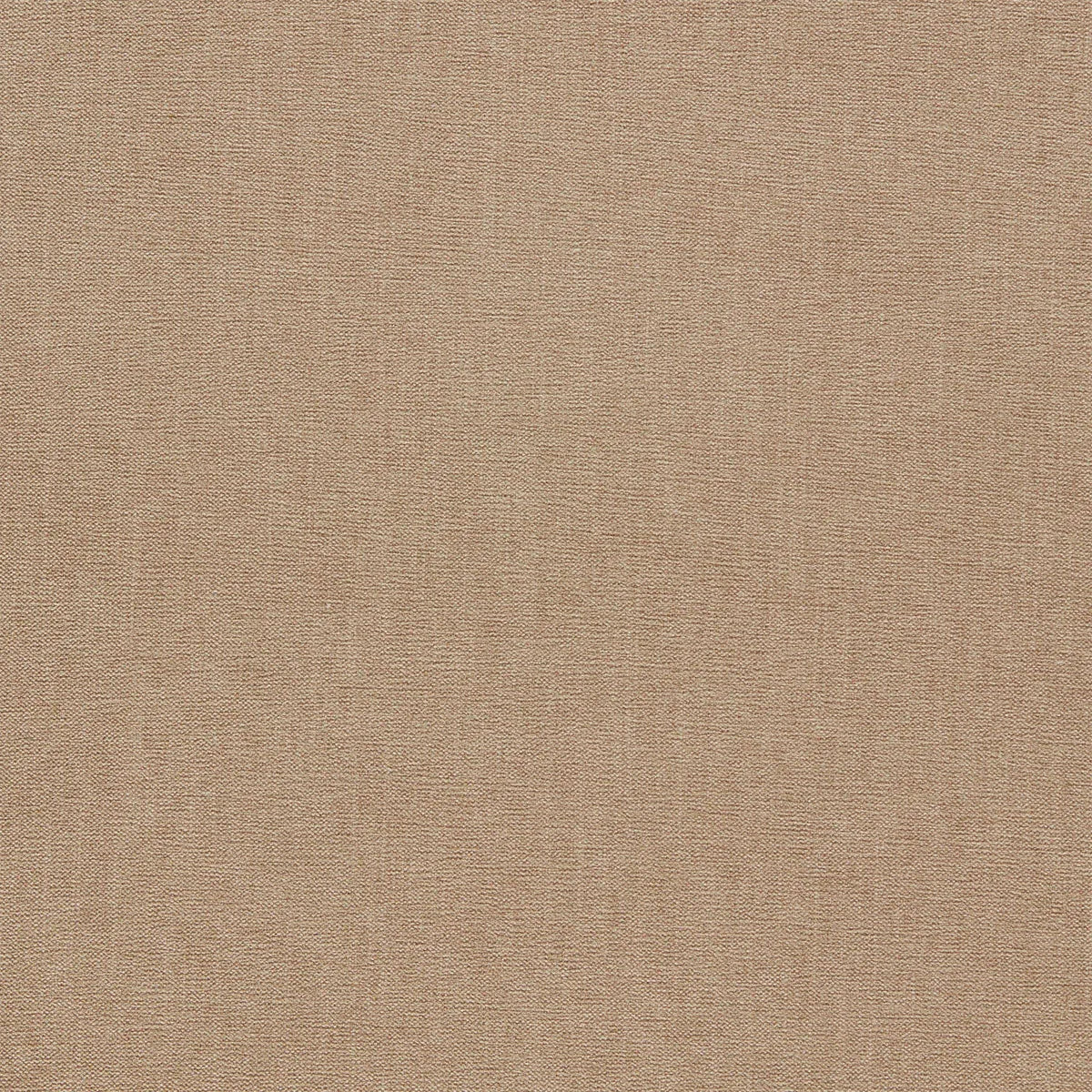 Jaipur Fabric - Clarke & Clarke