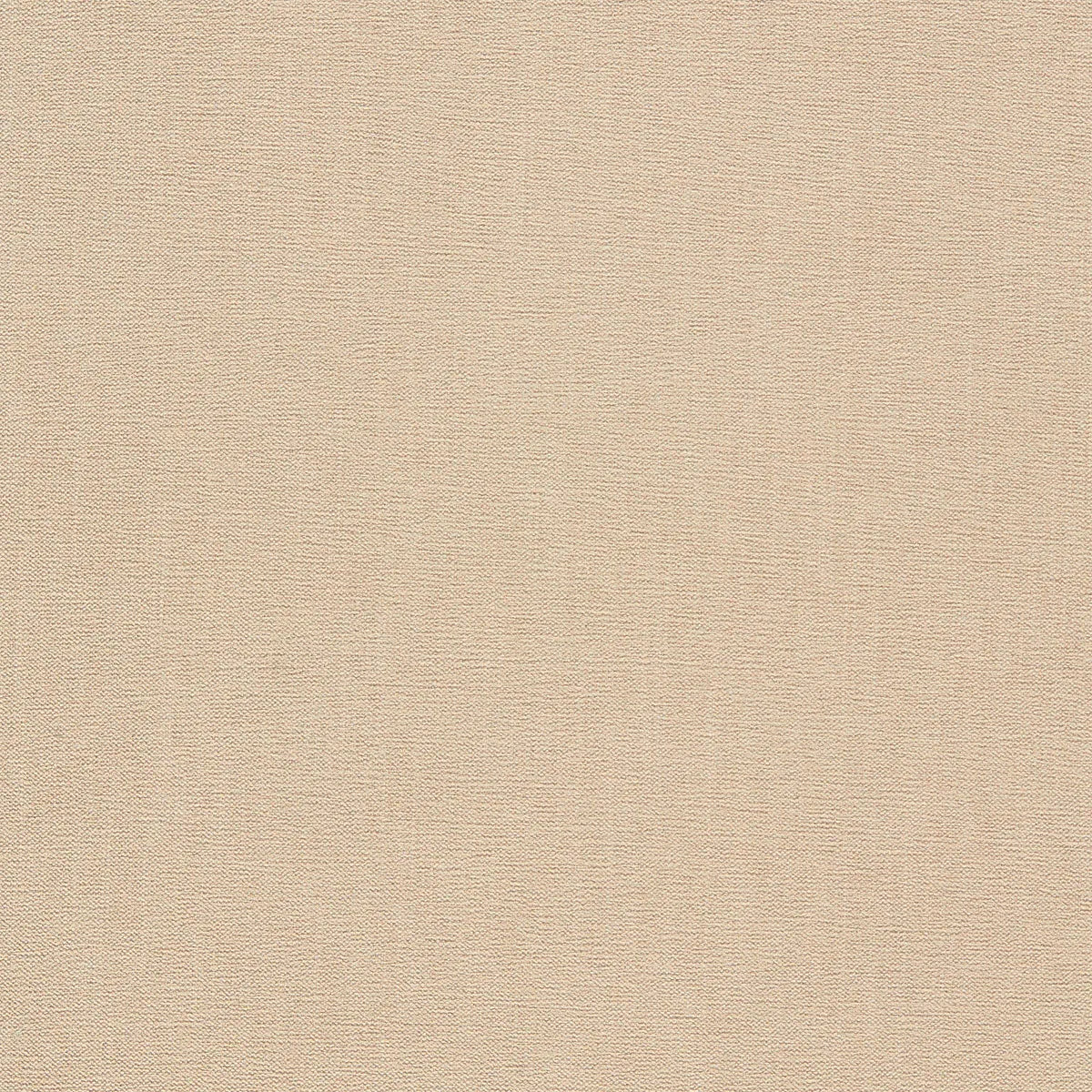 Jaipur Fabric - Clarke & Clarke