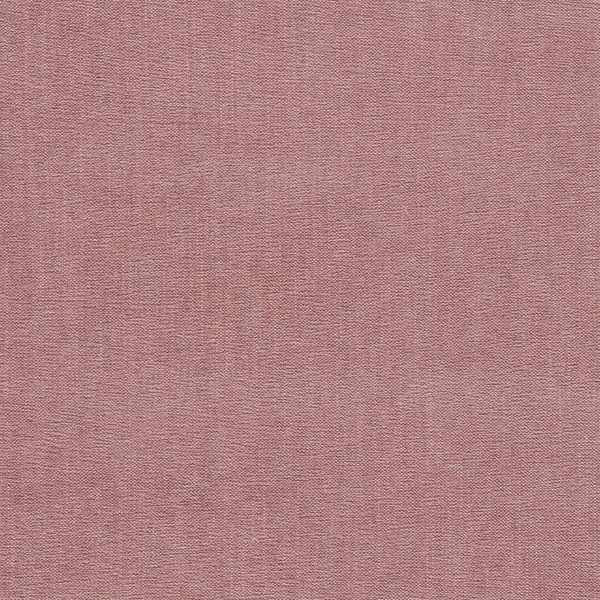 Jaipur Fabric - Clarke & Clarke