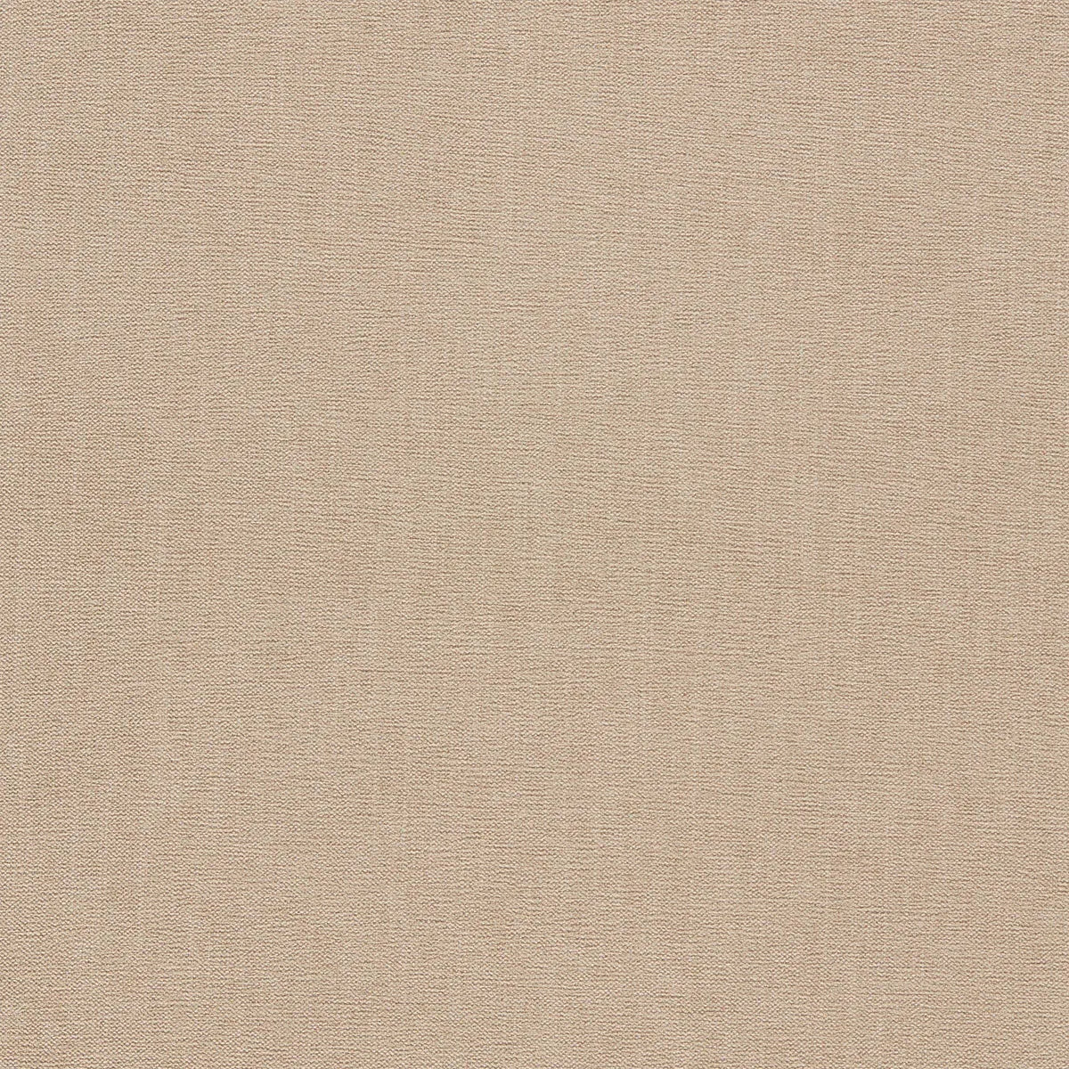 Jaipur Fabric - Clarke & Clarke