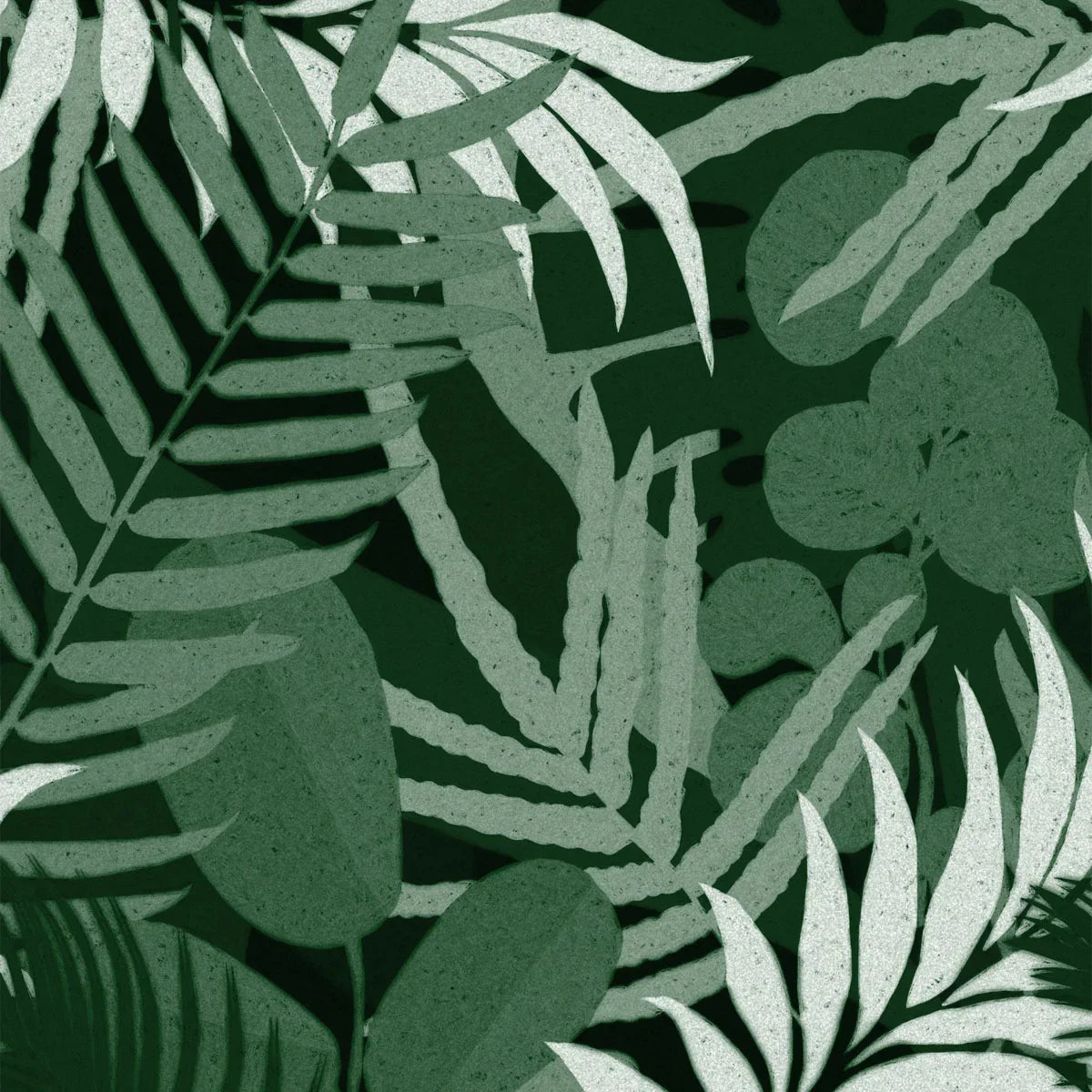 Jardin Del Sol Wallpaper - Mind The Gap