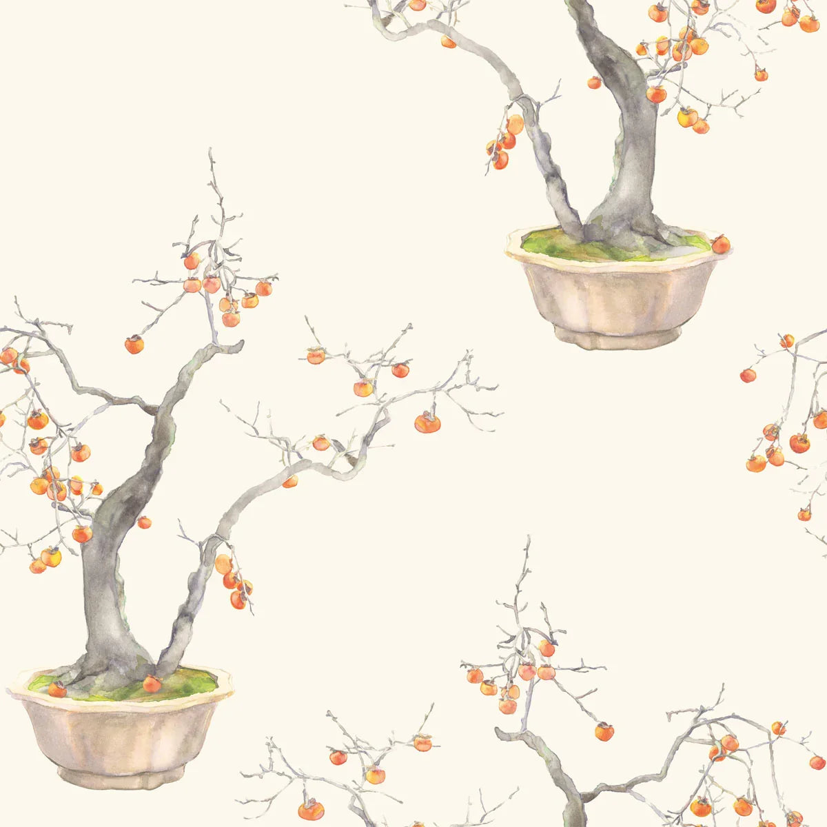 Kaki Persimmon Wallpaper - Cole & Son