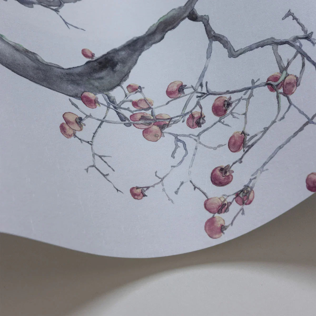 Kaki Persimmon Wallpaper - Cole & Son