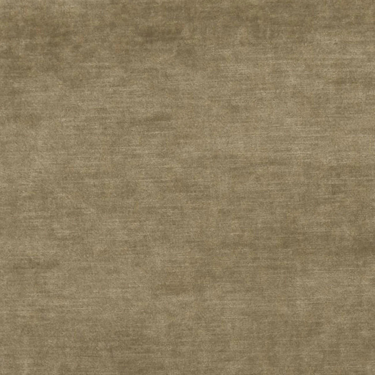 Kings Velvet Fabric - GP&J Baker