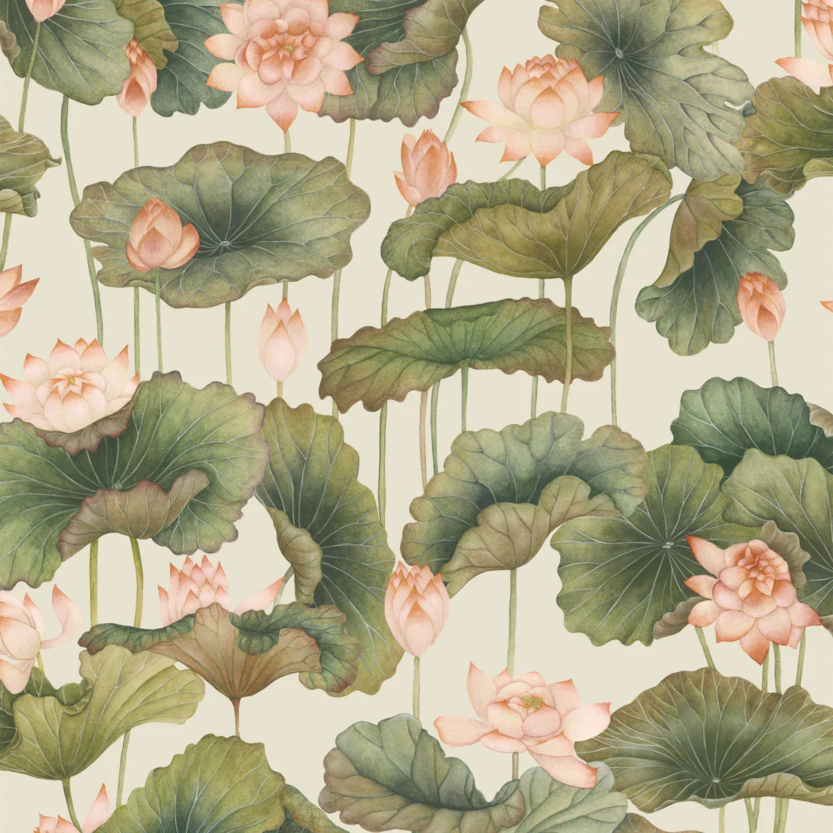 Lily Lotus Wallpaper - Cole & Son